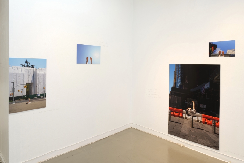 《 If I could stand in the sky... 》王俞晴紐約個展計畫 ｜王俞晴｜國藝會補助成果檔案庫